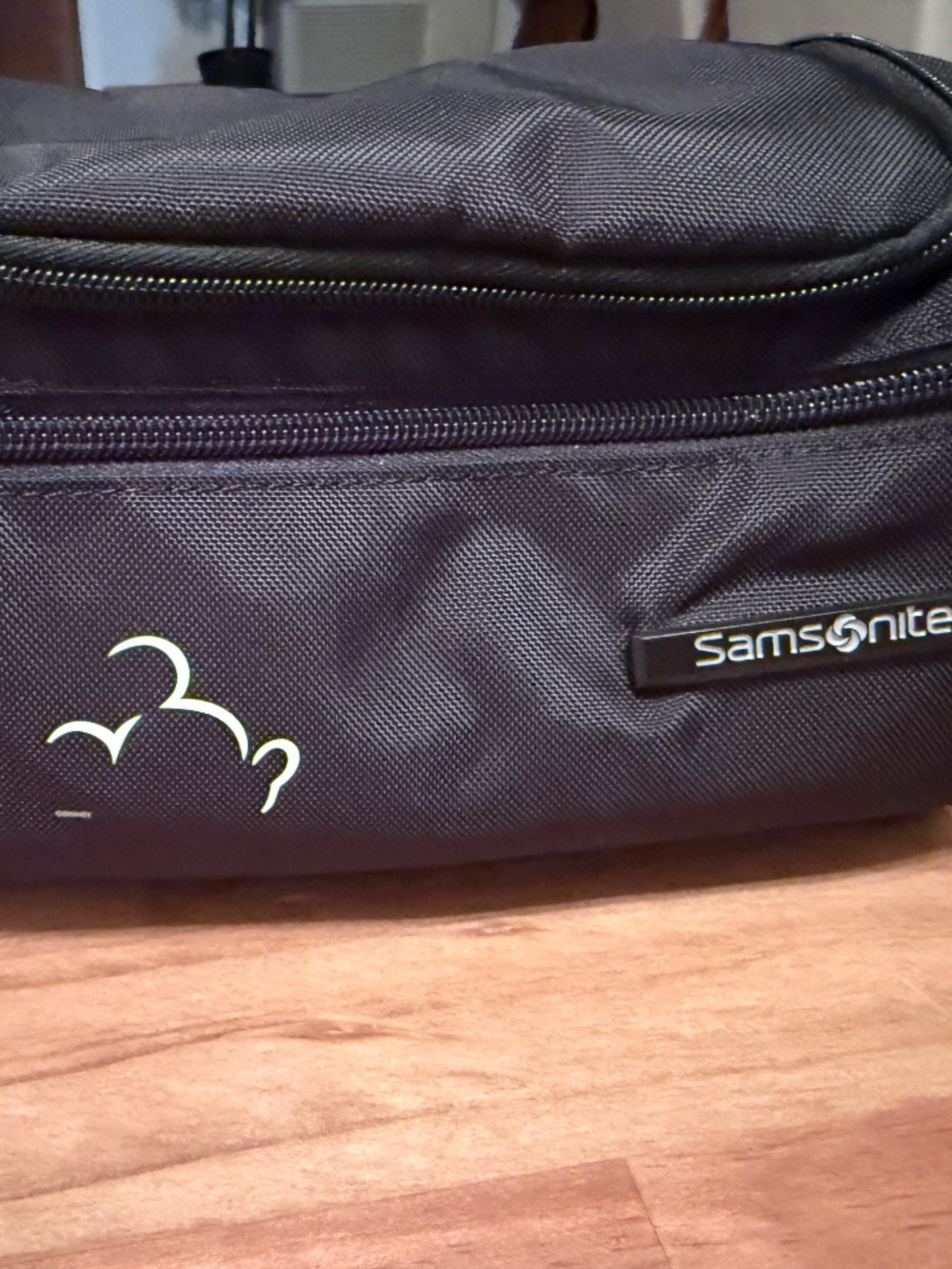 Disney X Samsonite Travel Toiletry Bag + Disney Liquid Container Pouch! Rare!